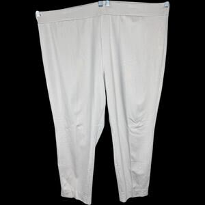 SUSAN‎ GRAVER Everyday Slim Leg Pants Beige Pull On Stretch 3X NWT Comfort
